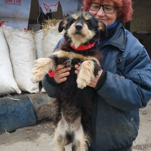 little-rozi_‎2019-‎10-‎06_31