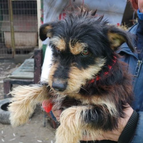 little-rozi_‎2019-‎10-‎06_32