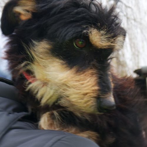 little-rozi_‎2019-‎10-‎06_33