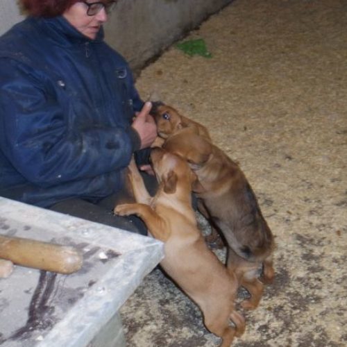miklos_‎2019-‎10-‎06_28