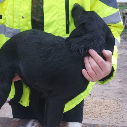 sofie_‎2019-‎10-‎06_48
