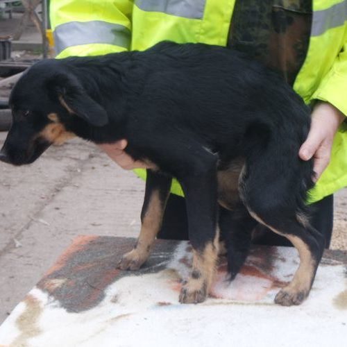 tuenci_‎2019-‎10-‎06_68