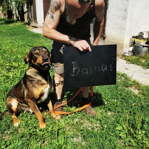 barnus_‎2020-‎06-‎27_06