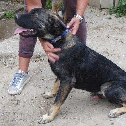 boris_‎2020-‎04-‎25_04