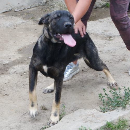 boris_‎2020-‎04-‎25_06