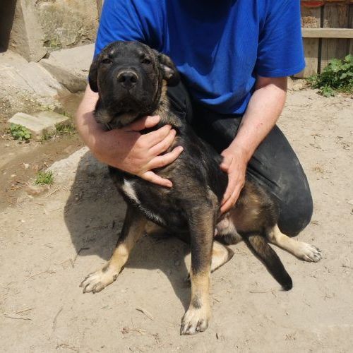 boris_‎2020-‎04-‎26_09
