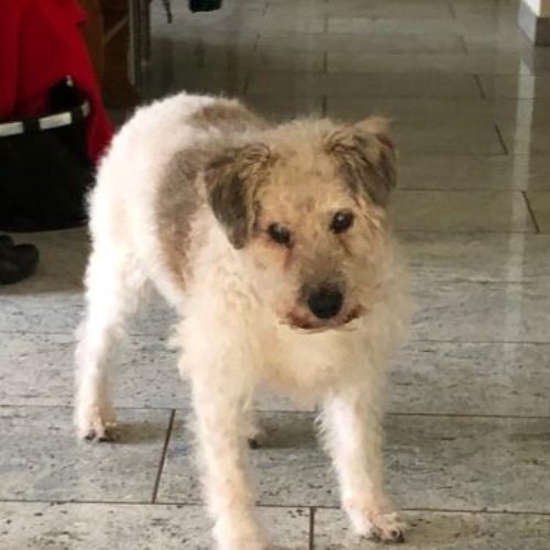 charlie_‎2019-‎12-‎22_01