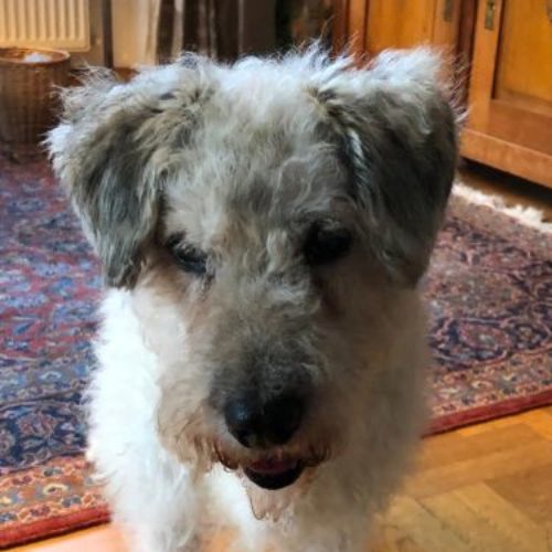 charlie_‎2019-‎12-‎22_03