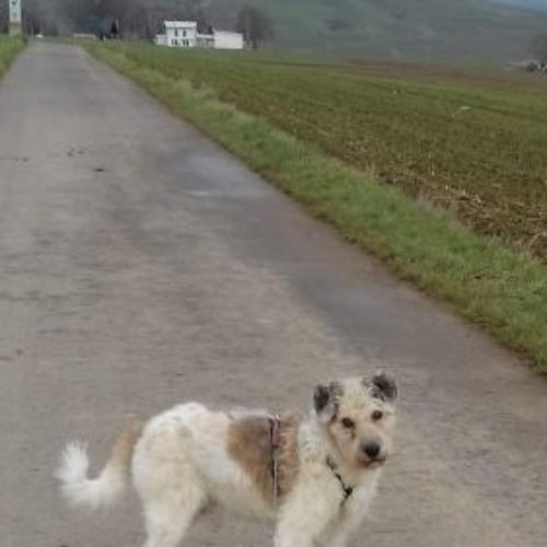 charlie_‎2020-‎01-‎14_01