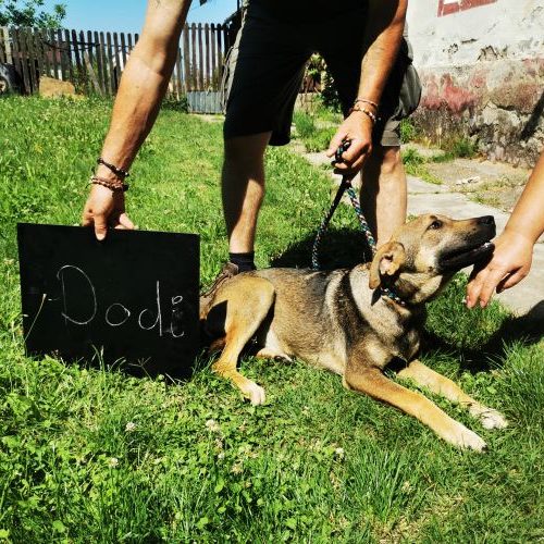 dodi_‎2020-‎06-‎27_06