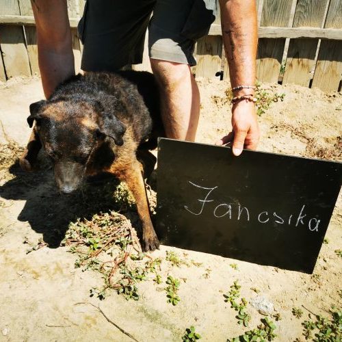 jancsika_‎2020-‎06-‎27_06