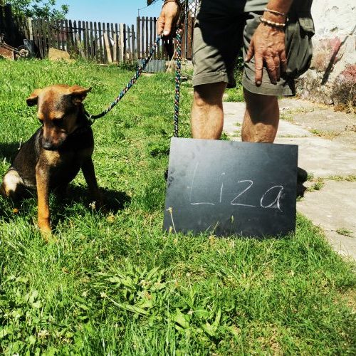 little-liza_‎2020-‎06-‎27_02