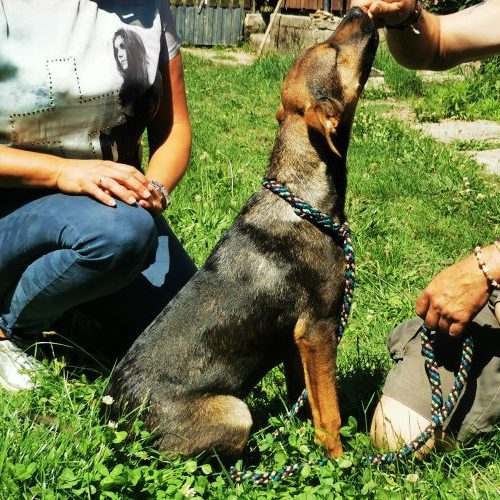 little-liza_‎2020-‎06-‎27_09