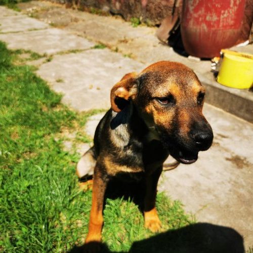 little-liza_‎2020-‎06-‎27_20