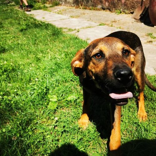 little-liza_‎2020-‎06-‎27_25