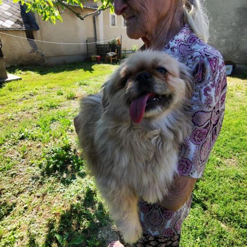 toto_‎2020-‎06-‎27_10