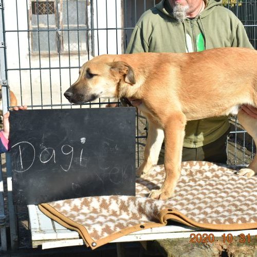 dagi_‎2020-‎10-‎31_16