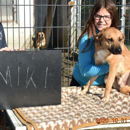 miki_‎2020-‎10-‎31_83