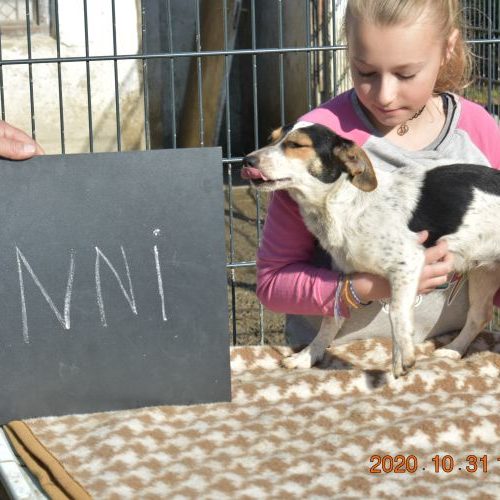 minni_‎2020-‎10-‎31_88