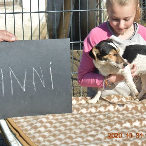 minni_‎2020-‎10-‎31_89