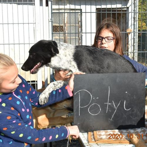 poetyi_‎2020-‎10-‎31_99