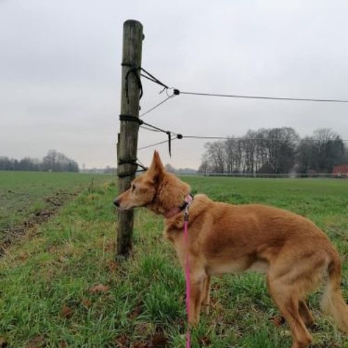 kaloz_2021-02-01_12