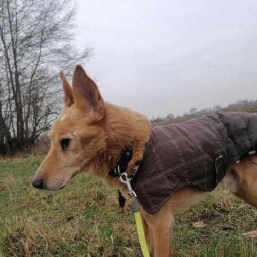 kaloz_2021-02-01_22
