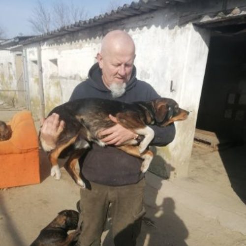 egyes_2021-03-10_02