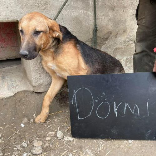 doermi_2021-05-20_02