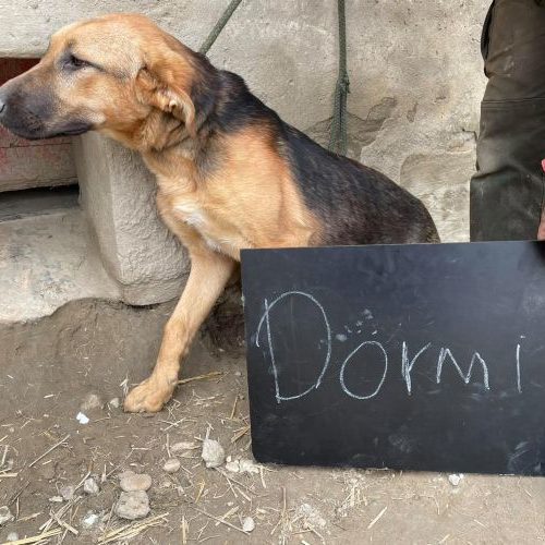 doermi_2021-05-20_05