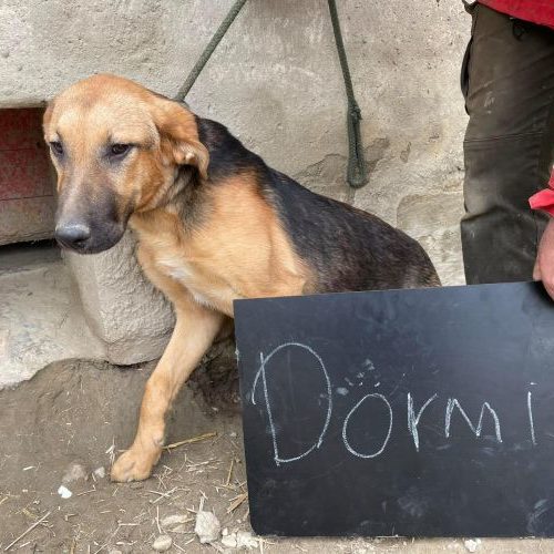 doermi_2021-05-20_11