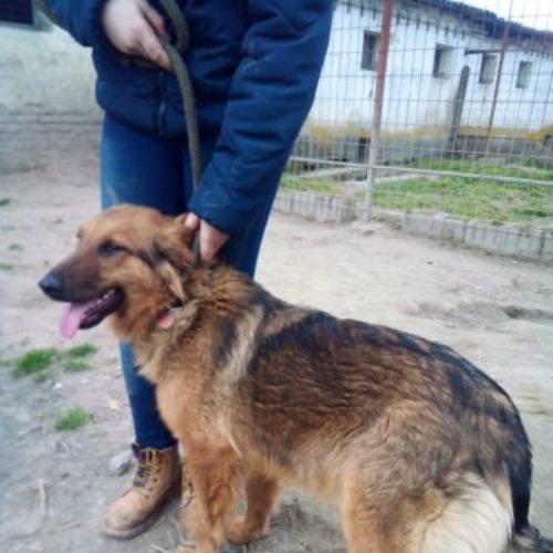 pogacsa_2021-05-02_04