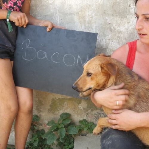 bacon_2021-08-10_01