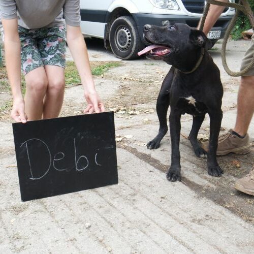 debi_2021-08-10_01