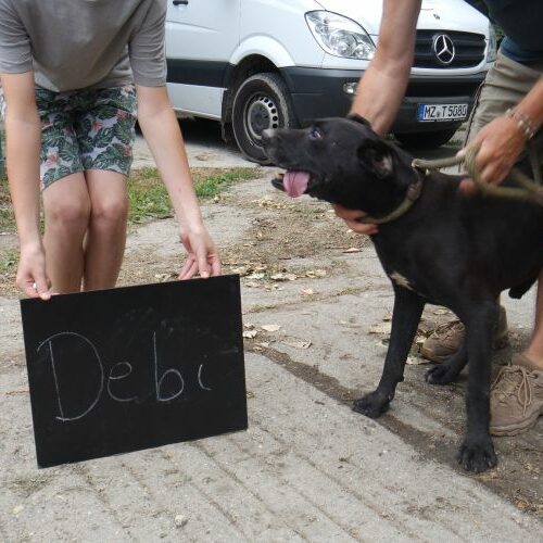 debi_2021-08-10_02