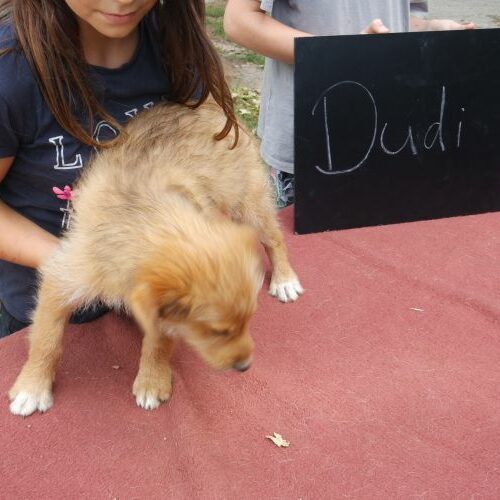 dudi_2021-08-10_02