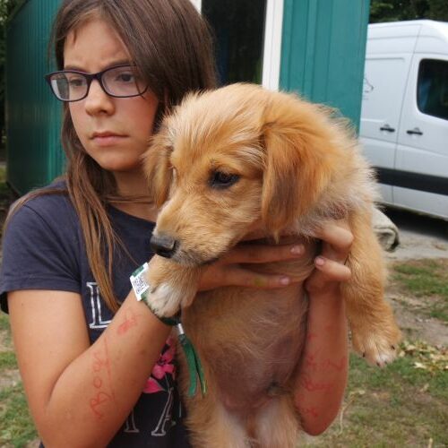 dudi_2021-08-10_14