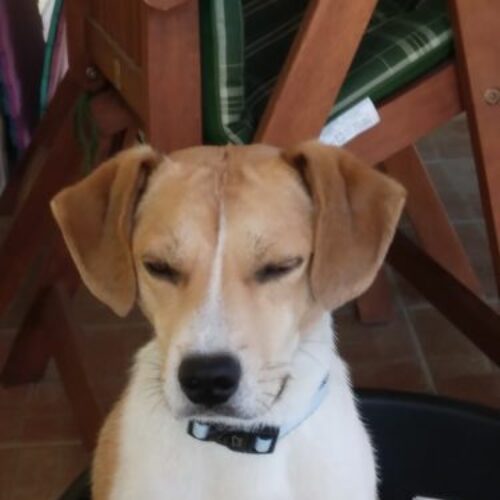 fifi_2021_04