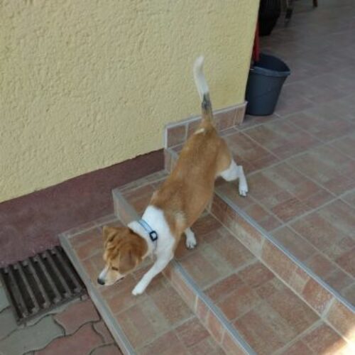 fifi_2021_07