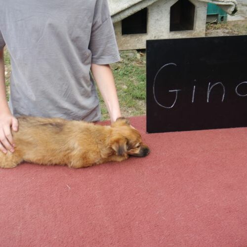 gina_2021-08-10_01