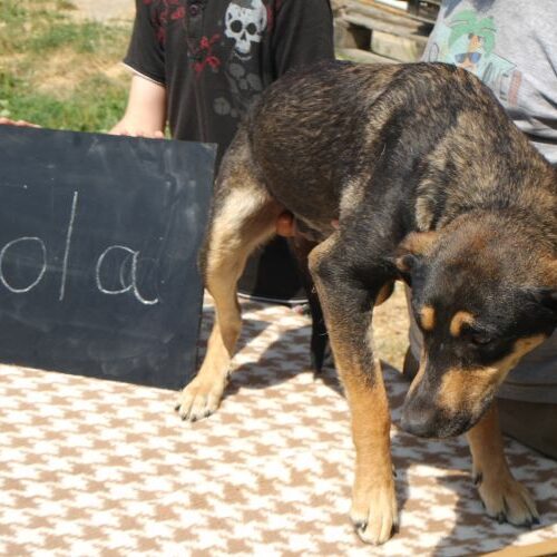 lola_2021_01