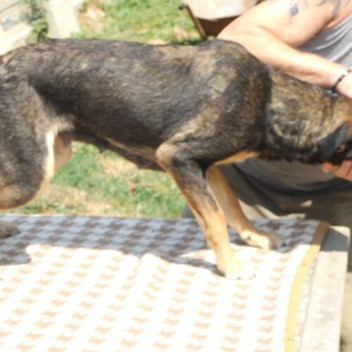 lola_2021_02