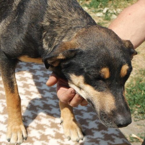 lola_2021_03