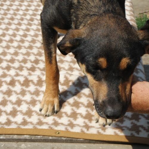lola_2021_04