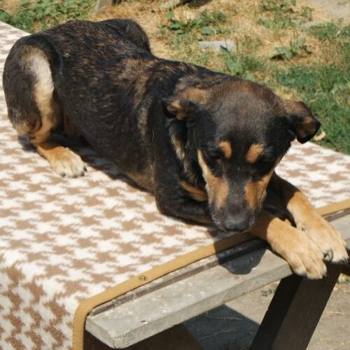 lola_2021_06