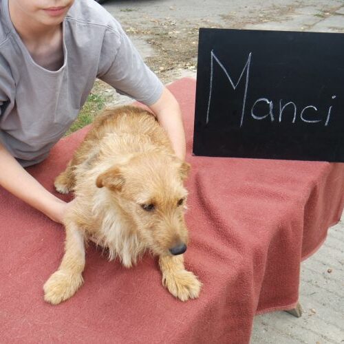 manci_2021-08-10_01