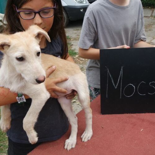 mocsok_2021-08-10_02