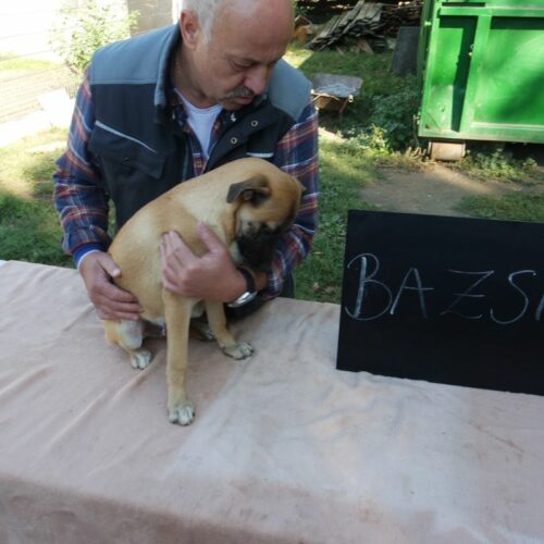 bazsi_2021-10-09_01