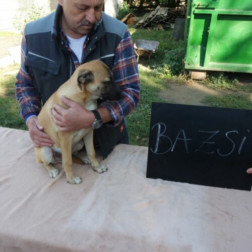bazsi_2021-10-09_02