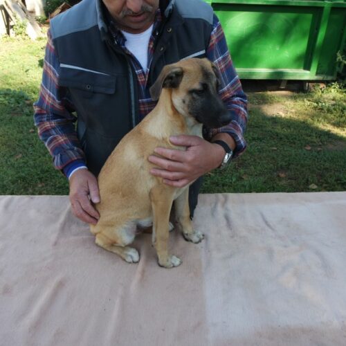 bazsi_2021-10-09_03